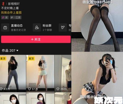 fill_w500_h426_g0_mark_PCCC-3-拷贝-e1695098809664