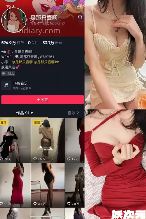 是那只壶啊 – 最新微密圈资源合集 – 19套 – 2024更新中