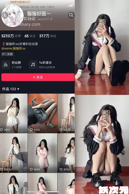 猫猫好困 – 觅圈微密圈写真最新合集[43套][资源持续更新]