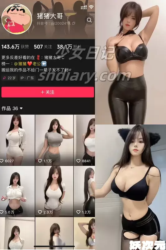 猪猪大哥
