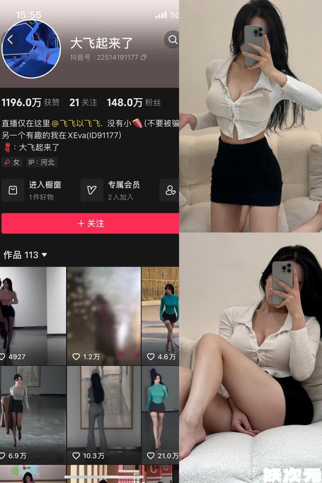 大飞起来了(飞飞以飞飞)岛遇觅圈微密圈最新合集下载