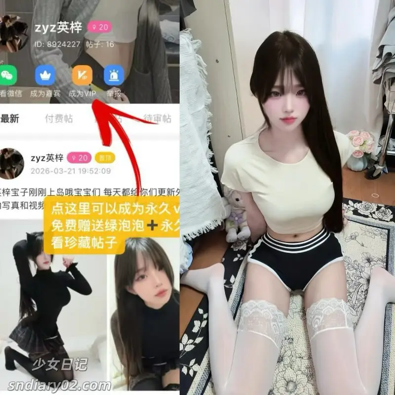 zyz英梓 – 电鸽资源岛遇合集