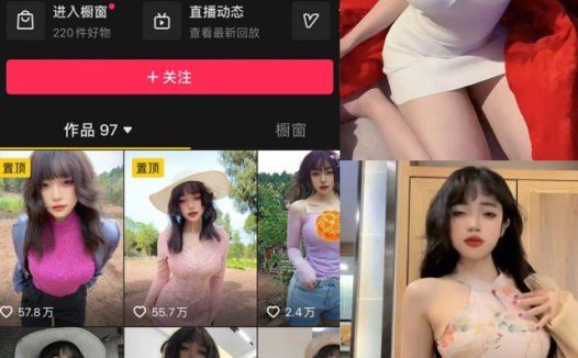 闰节 微密圈合集[3套][持续更新]