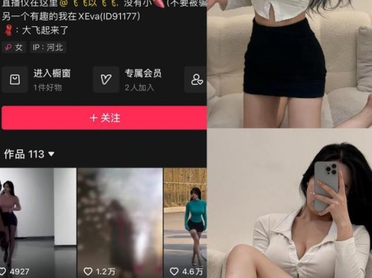 大飞起来了(飞飞以飞飞)岛遇觅圈微密圈最新合集下载